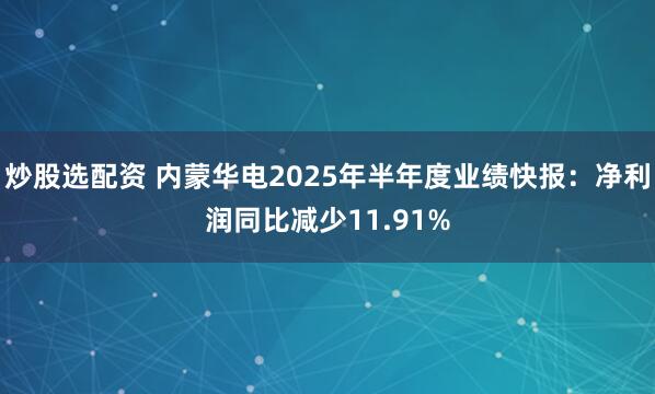 炒股选配资 内蒙华电2025年半年度业绩快报：净利润同比减少11.91%