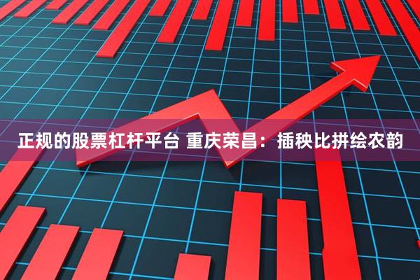 正规的股票杠杆平台 重庆荣昌：插秧比拼绘农韵