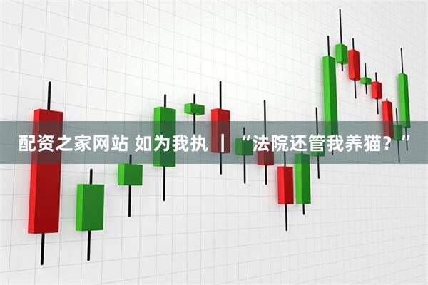 配资之家网站 如为我执 ｜ “法院还管我养猫？”